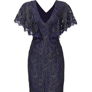 Blue Lace Flutter Sheath Dress